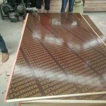 臨沂市蘭山區(qū)厚德板材廠 專業(yè)供應(yīng)優(yōu)質(zhì)建筑材料，賦能建筑未來